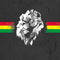 Horizontal Banner -  Lion of Judah Notebook 9 Pro 13in (2017) Skin